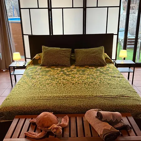 Loft Tortuga *