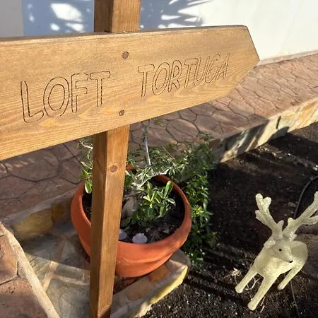 Hébergement de vacances Loft Tortuga
