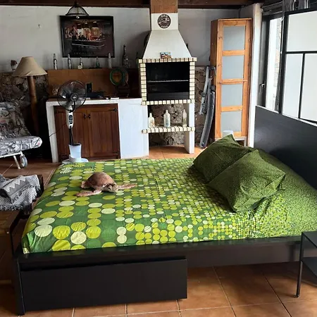 Loft Tortuga