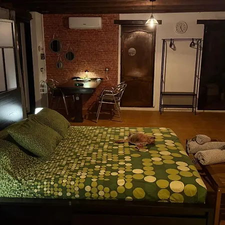Loft Tortuga Hébergement de vacances *