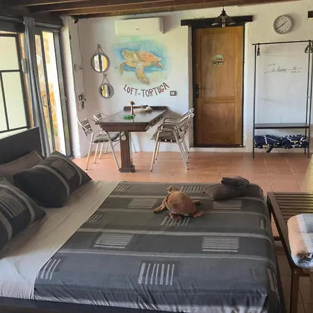 Loft Tortuga * טינאחו