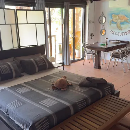 Feriehus Loft Tortuga Tinajo