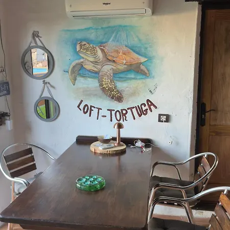 Σπίτι διακοπών Loft Tortuga *