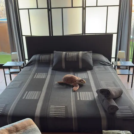 Loft Tortuga تيناجون
