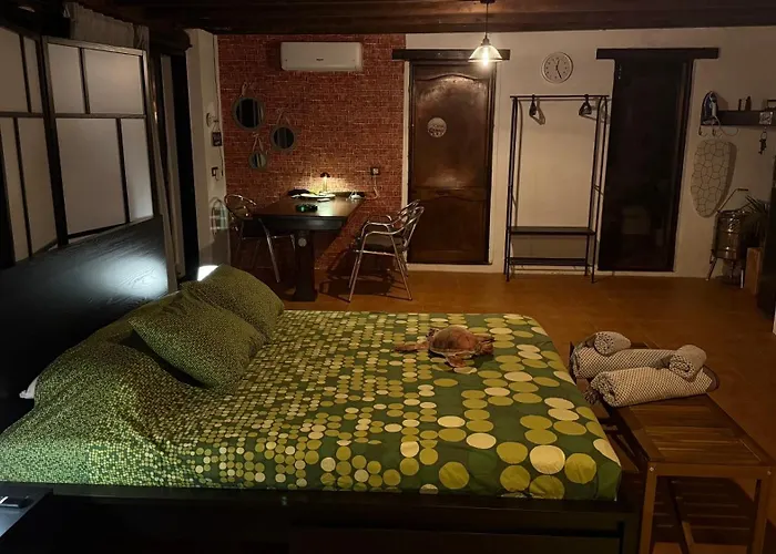 Loft Tortuga Σπίτι διακοπών *