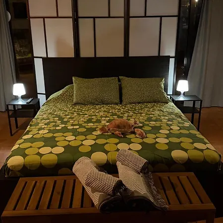 Loft Tortuga Дом отдыха