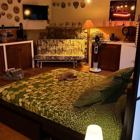 Loft Tortuga Тинахо