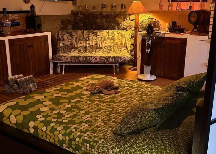 Loft Tortuga Tinajo