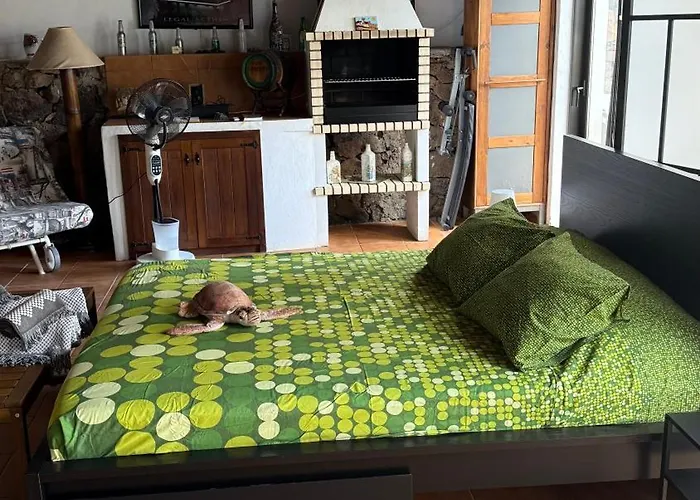 Loft Tortuga